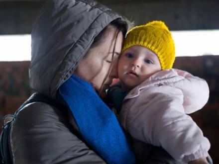 IL immigration lawyer