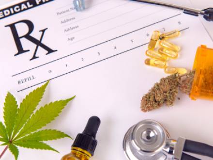 IL immigration lawyer